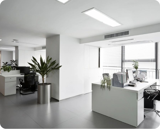 A white office with plants and a desk