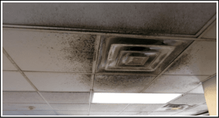 A ceiling with black spots on it and light shining through.