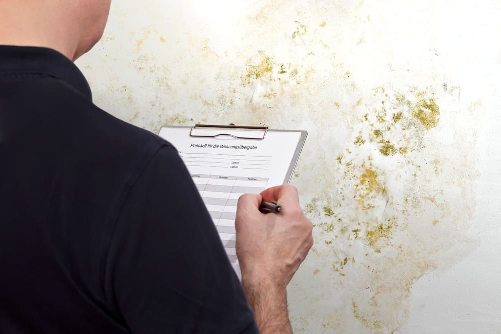 An inspector marking a clipboard in front of a wall covered in mold