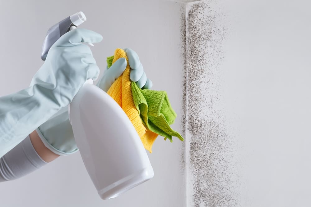 Hands,With,Glove,And,Spray,Bottle,Isolated,On,Wall,With